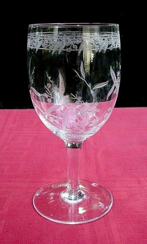 Baccarat mimosa wine glass - mimosa,